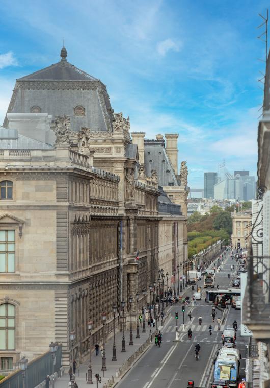 appartements a vendre paris paris   - 11